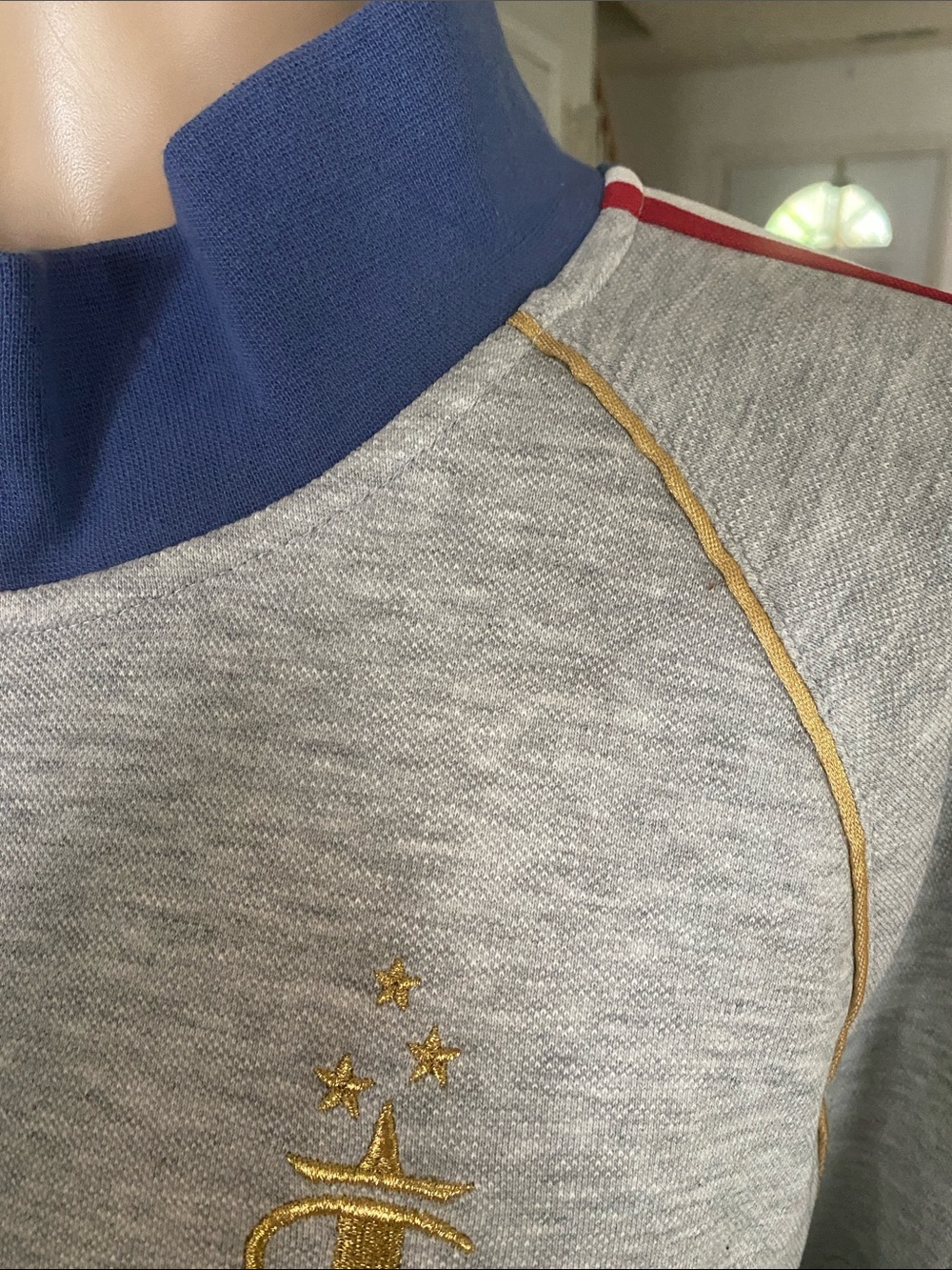 Champion nwt Light Gray USA Sweatshirt with Gold Embroidered Logo - Picture 5 of 10